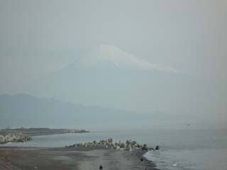 羽衣の松のそばからの富士山